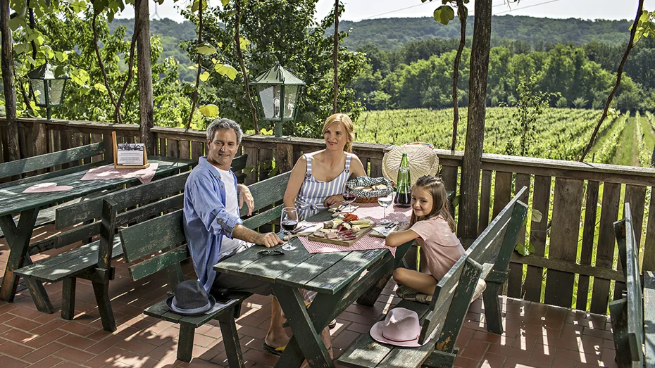 Tričlanska družina sedi ob zeleni obloženi mizi na terasi s pogledom na okoliški vinograd