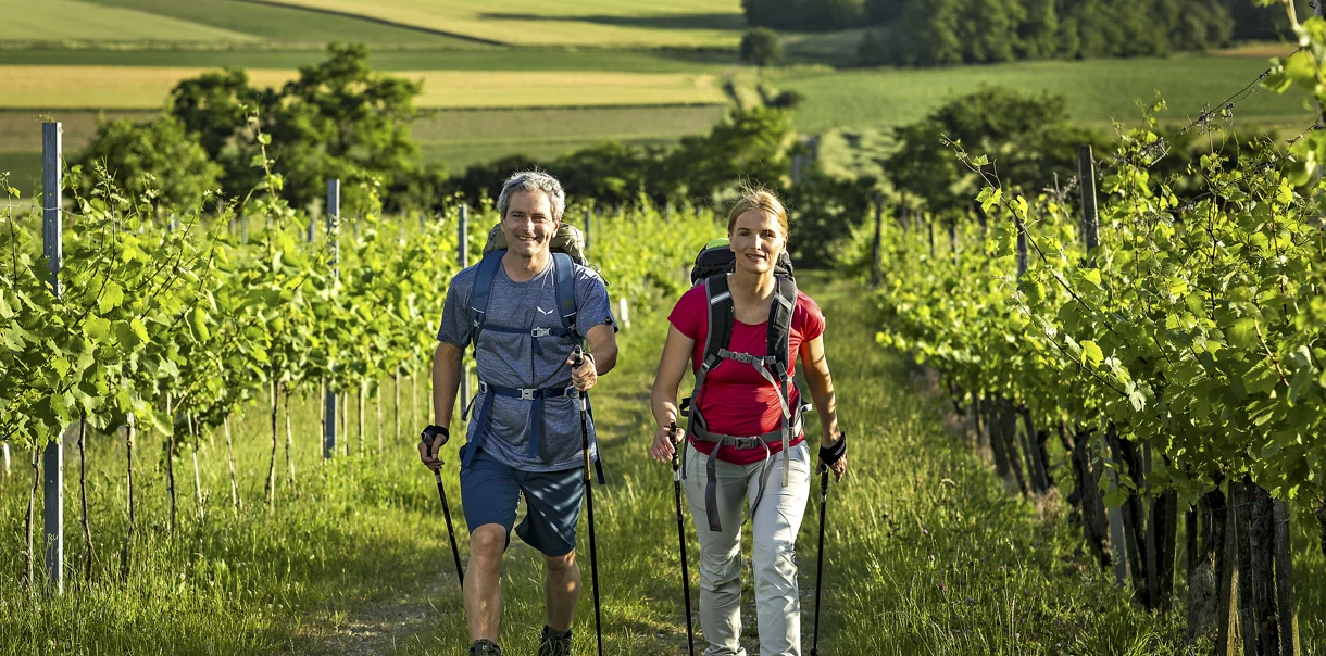 Pohodnik in pohodnica v pohodniški opremi nasmejana hodita med zelenimi vinogradniškimi griči