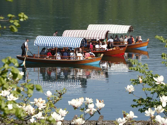Tradicionalne pletene ladjice ob Blejskem jezeru, ki vozijo turiste po jezeru
