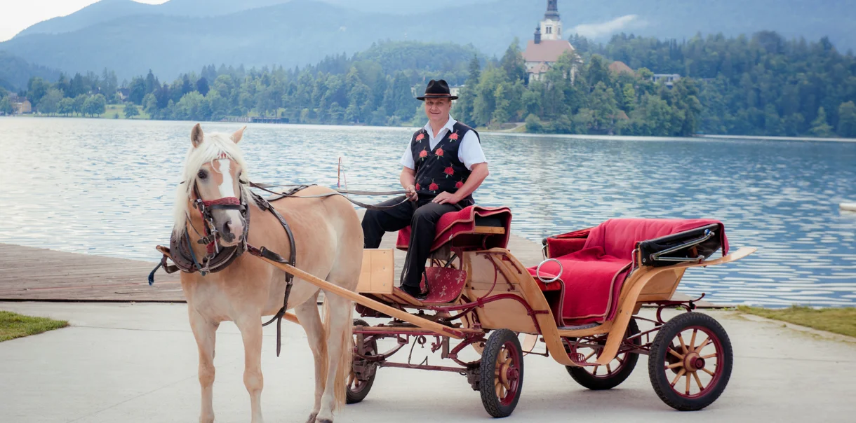 Starejši možakar sedi na kočiji s konjem ob Blejskem jezeru