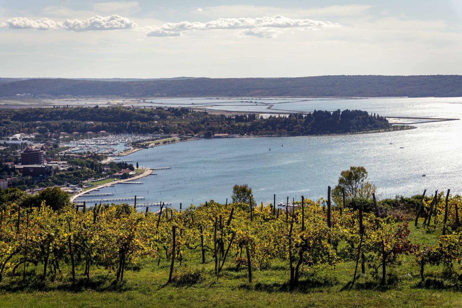 View of Portorož and Piran Bay from the vineyards.
