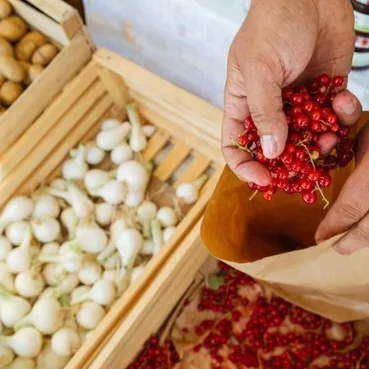 Markt von Bled, Foto: www.bled.si Markt von Bled, Produkte