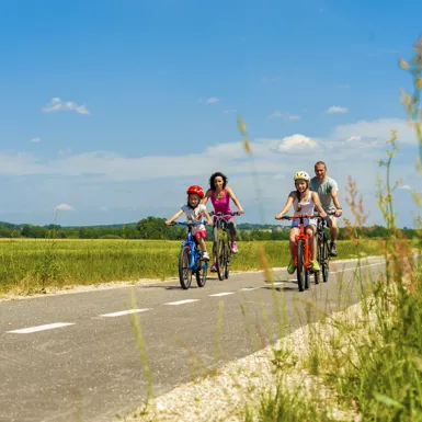 Štiričlanska družina na kolesu kolesari po kolesarski stezi ob zelenih travnikih