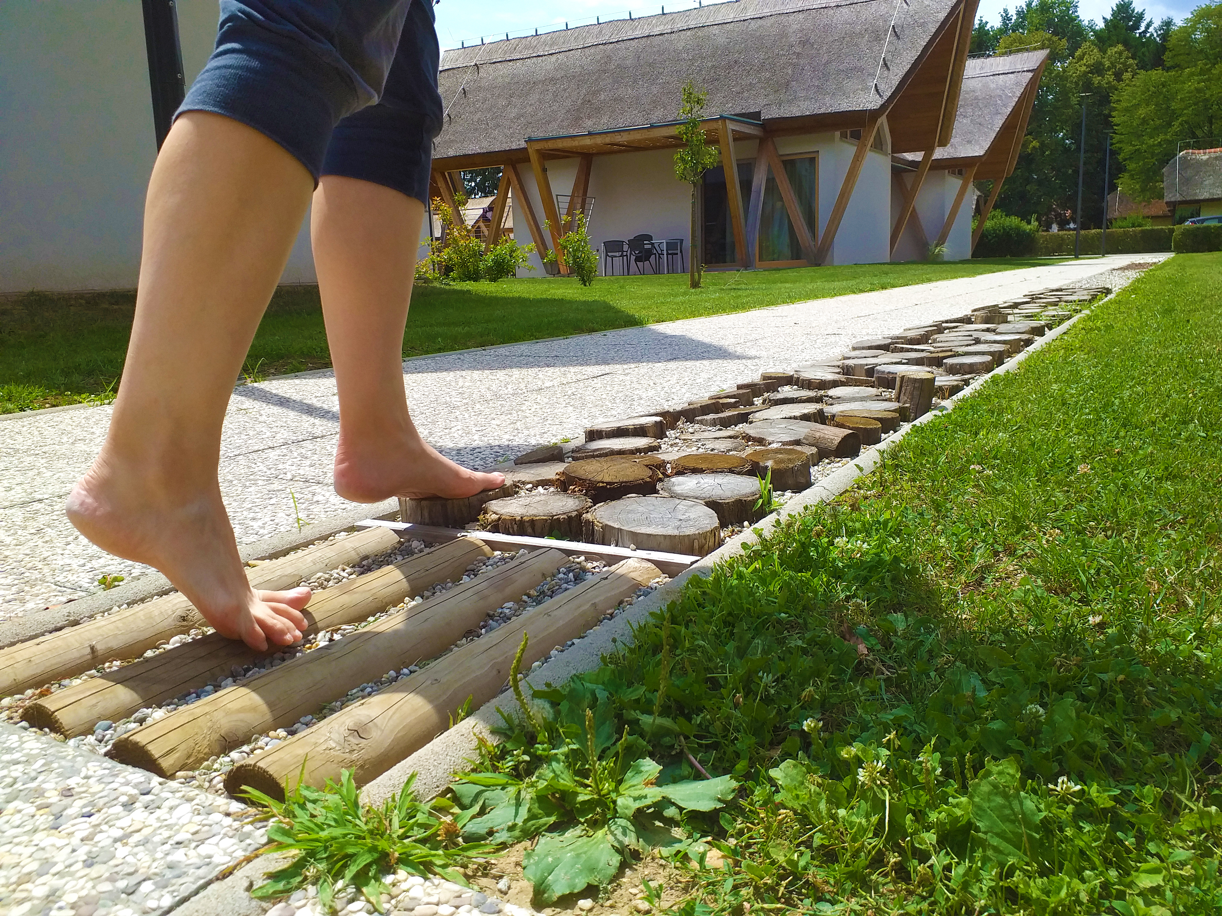 Ženska v športnih hlačah hodi bosa po posebej tlakovani leseni potki s kamenčki