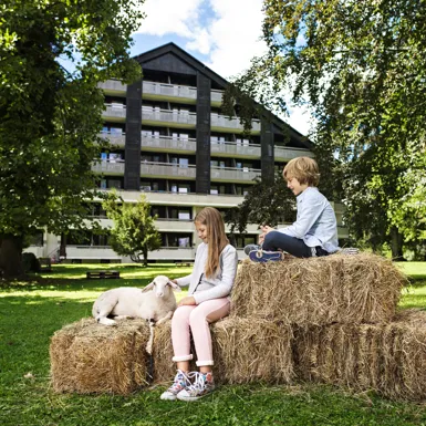 Deček in deklica sedita na kupu sena pred hotelom na travnati površini in božata ovco