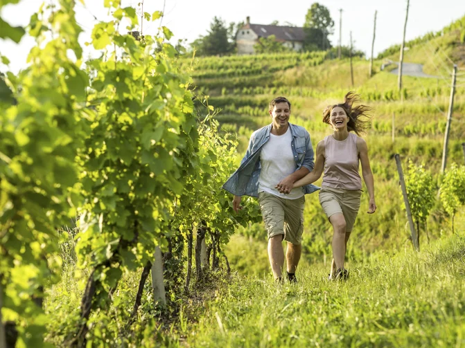 Moški in ženska v športnih oblačilih se nasmejano držita za roke in sprehajata med zelenimi vinogradi