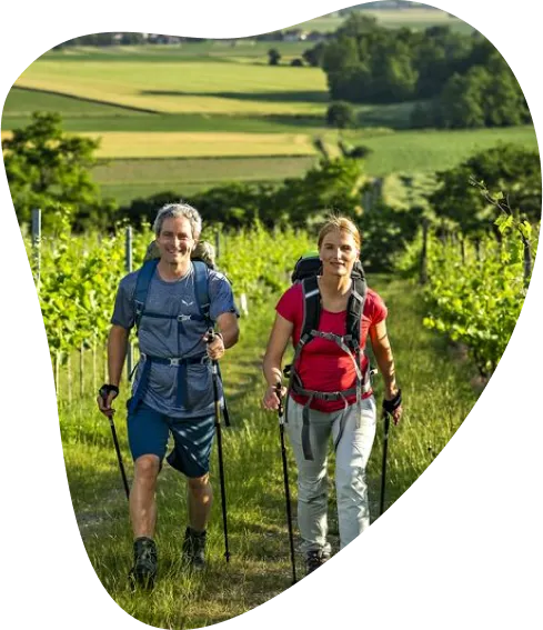 Pohodnik in pohodnica v pohodniški opremi hodita med zelenimi vinogradi