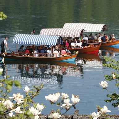 Tradicionalne pletene ladjice ob Blejskem jezeru, ki vozijo turiste po jezeru