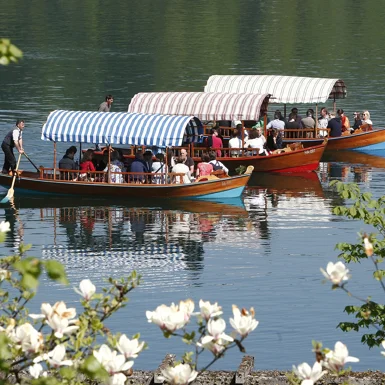 Tradicionalne pletene ladjice ob Blejskem jezeru, ki vozijo turiste po jezeru